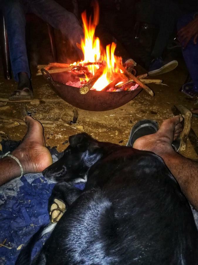 Eco Lodge Haputale-Camping Sri Lanka Екстер'єр фото